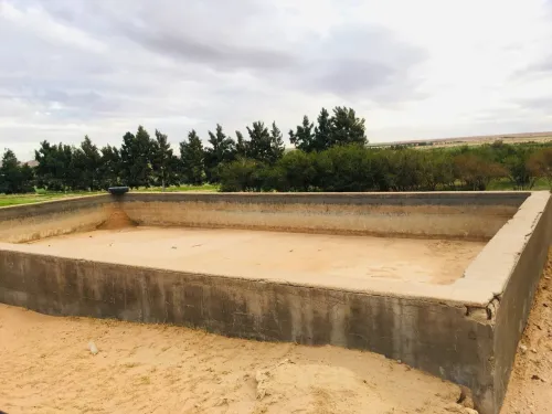 Vente Terrain Agricole Djelfa Tadmit