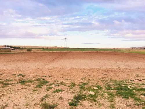 Vente Terrain Agricole Djelfa Tadmit