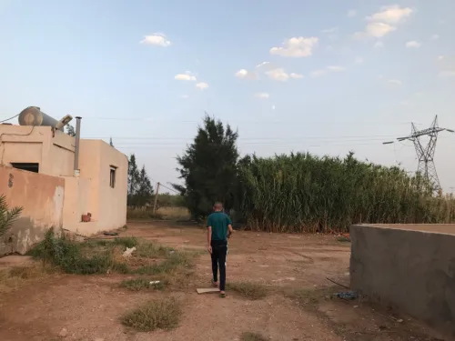 Vente Terrain Djelfa Tadmit