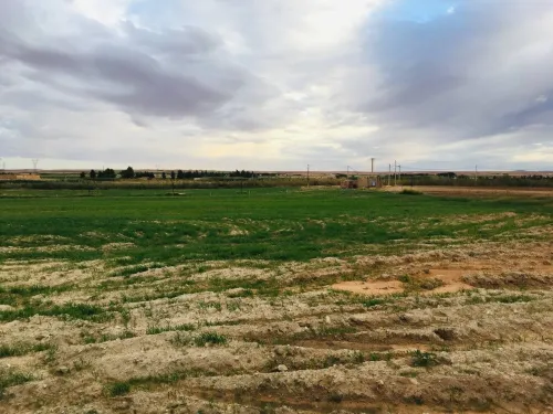 Vente Terrain Agricole Djelfa Tadmit