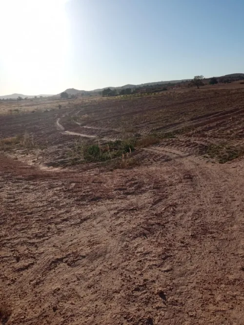 Vente Terrain Agricole Mascara Ain fras