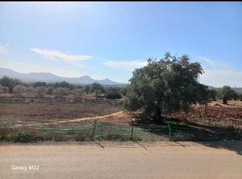 Vente Terrain Bouira El adjiba