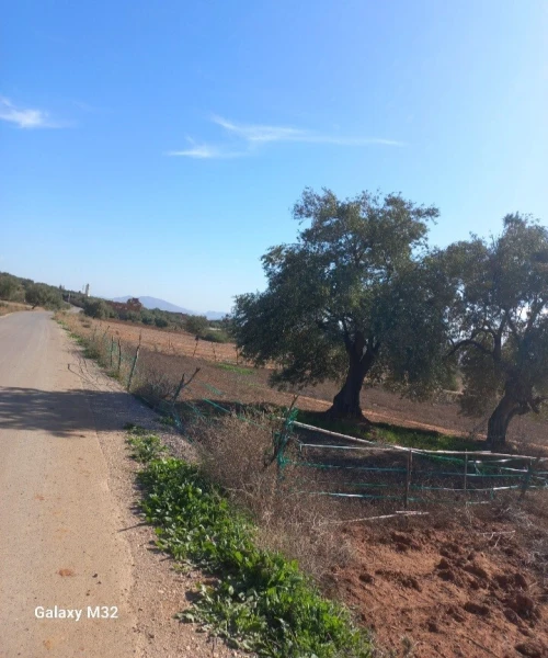Vente Terrain Bouira El adjiba