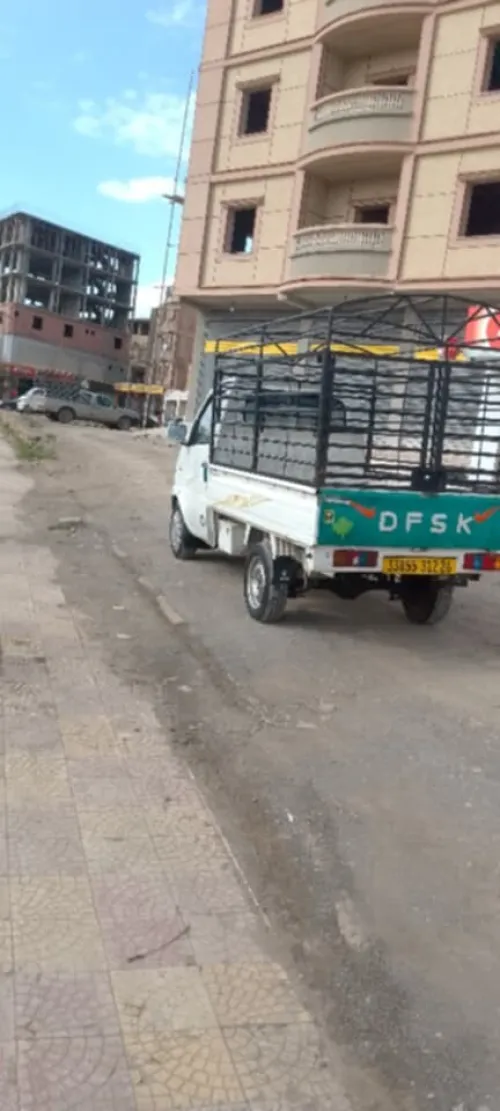 DFK Harbin 2012