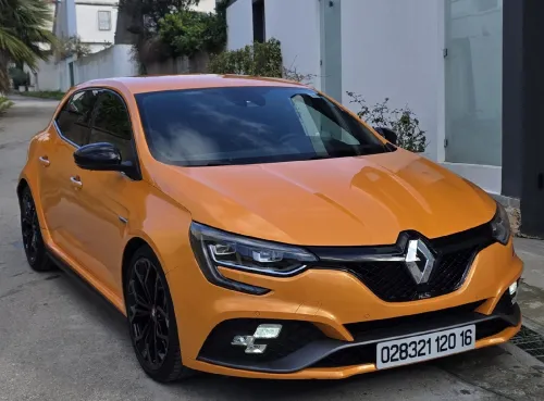 Renault Megane 3 RS 2020 Megane 3 RS