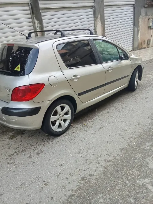 Peugeot 307 2006 307