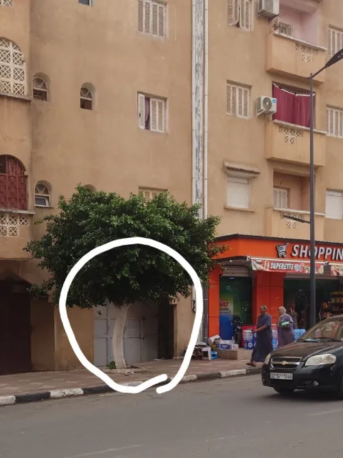 Vente Local Aïn Témouchent Ain temouchent