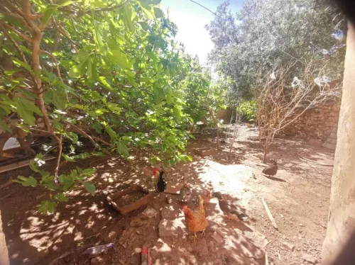 Vente Immeuble Oran Gdyel
