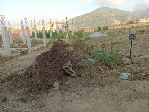 Vente Terrain Jijel Kaous
