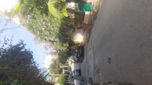 Vente Villa Alger Kouba