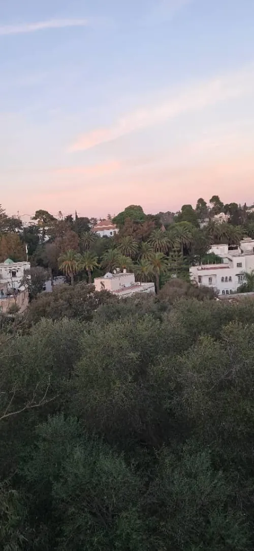 Vente Villa Alger El biar