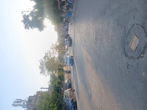 Vente Terrain Alger Staoueli