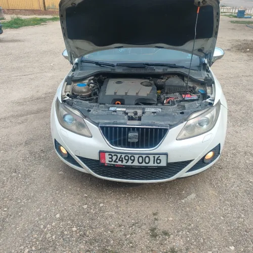 Seat Ibiza 2012 Loca