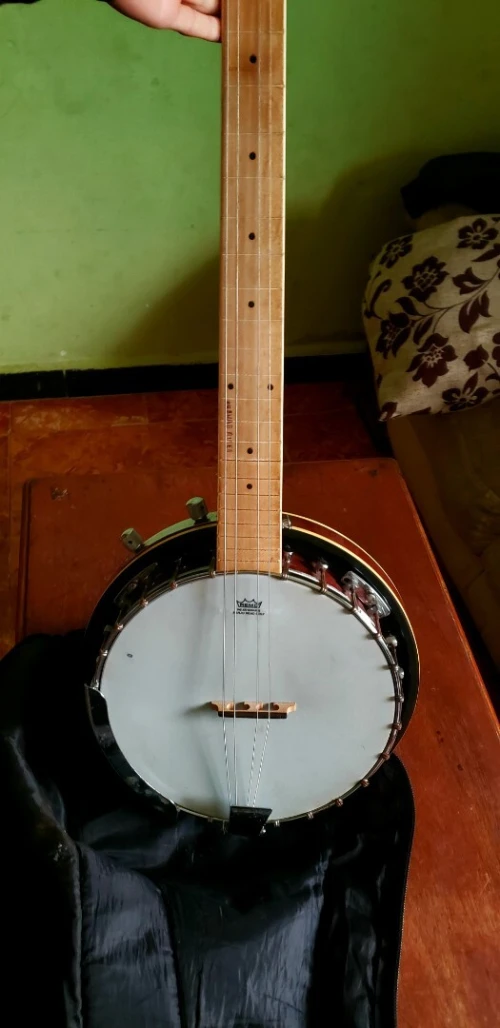 Banjo 6cords