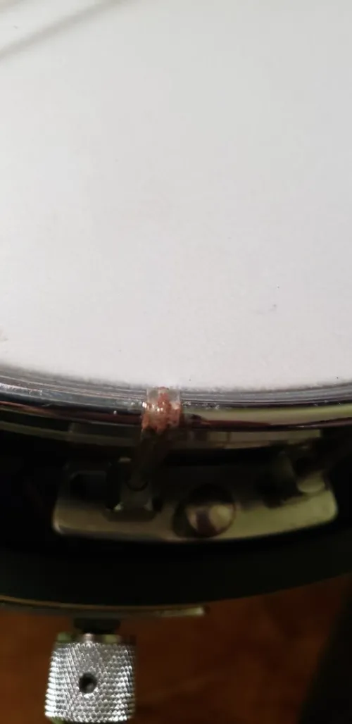 Banjo 6cords
