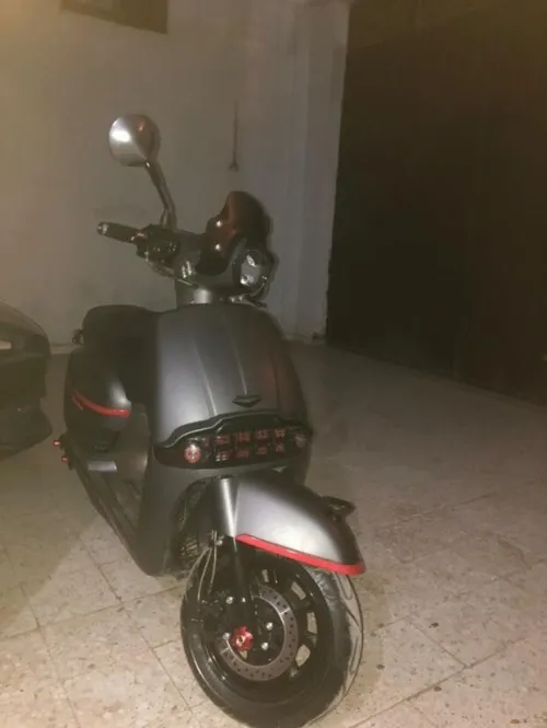 Vms Viktorya 2024
