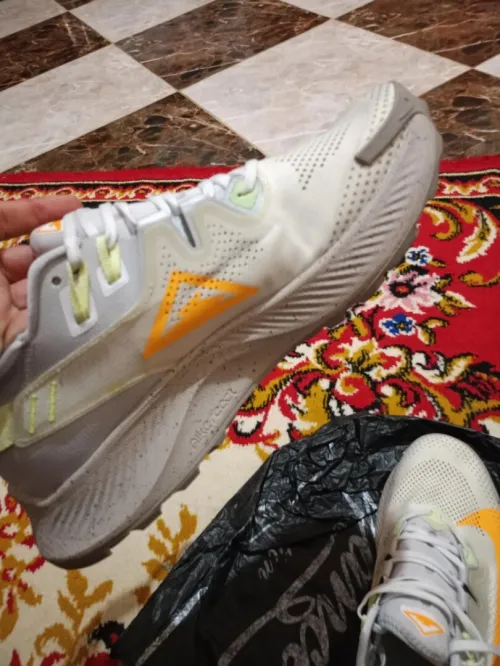 Chaussures Nike Pegasus trail 2