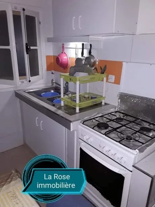 Location Appartement Studio Skikda Skikda