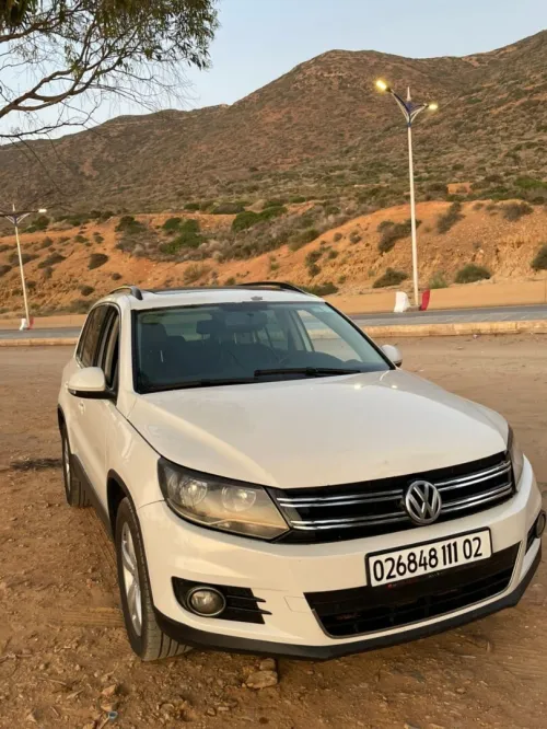 Volkswagen Tiguan 2011 Style