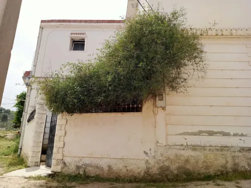 Vente Villa Souk Ahras Ain sanour