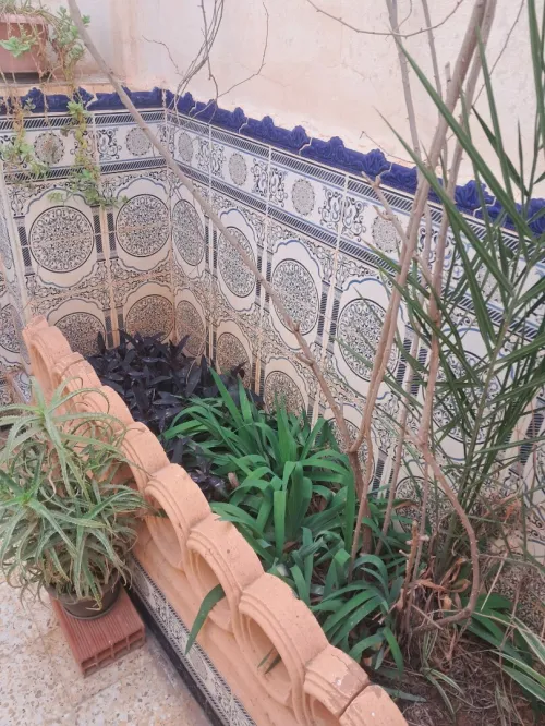 Vente Villa Saïda Ouled khaled