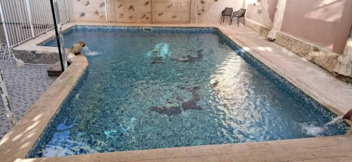 Location Appartement Alger Ain benian