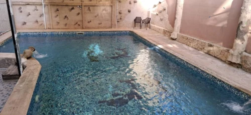 Location Appartement Alger Ain benian