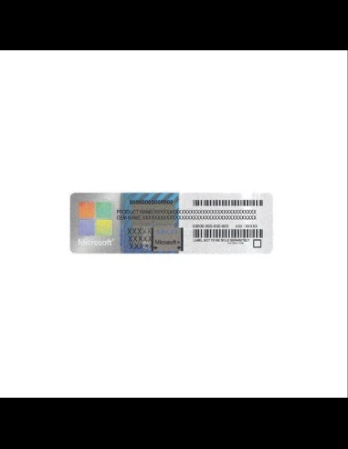 Licence Windows 10/11 pro officiel