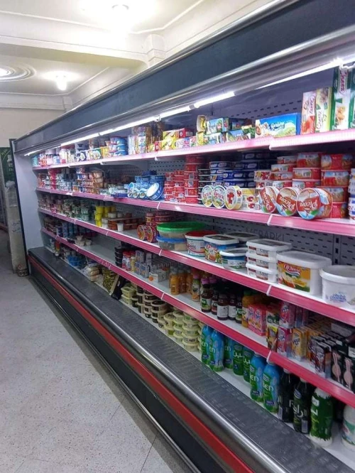 FRIGO SERVICE LIBRE POUR GRAND SURFACES