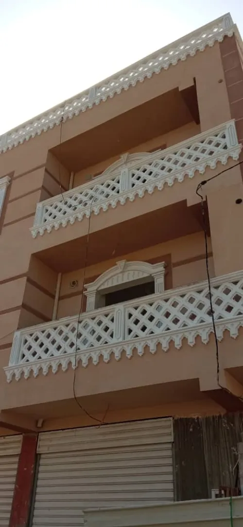 تيارت