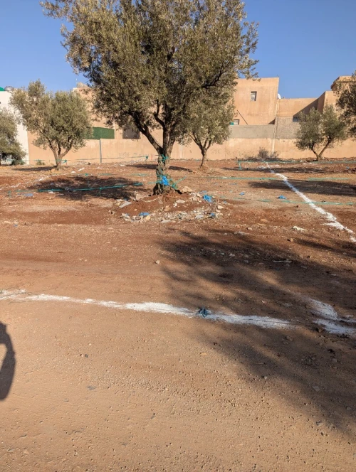Vente Terrain Tlemcen Tlemcen