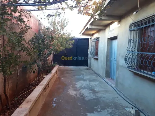 Vente Immeuble Chlef Ouled fares
