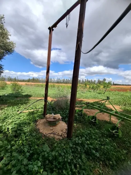 Vente Terrain Agricole Aïn Defla Ain soltane