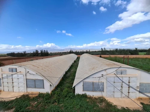 Vente Terrain Agricole Aïn Defla Ain soltane