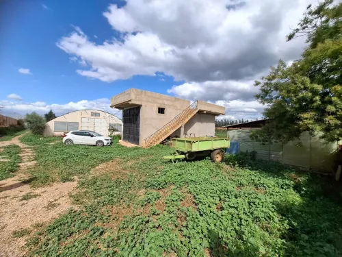 Vente Terrain Agricole Aïn Defla Ain soltane