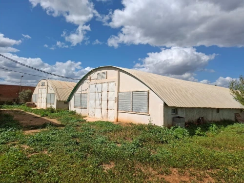 Vente Terrain Agricole Aïn Defla Ain soltane