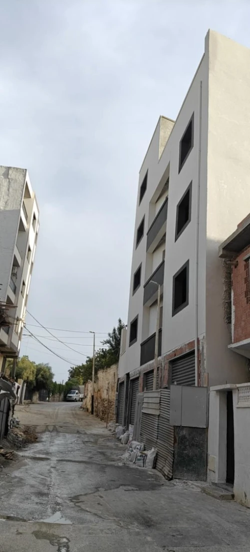 Travaux Monocouche Façade et Plâtre Projeté en Algérie