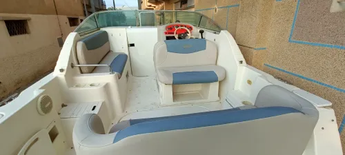 Horboar RINKER V8 2001