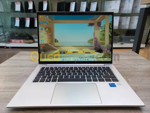 HP EliteBook 840 G10 i5-1340P 16GB 256ssd 14Pouce