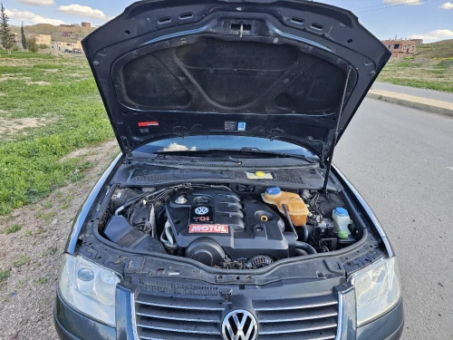 Volkswagen Passat 2004 B5