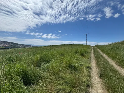 Vente Terrain Tizi Ouzou Azazga