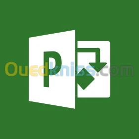Microsoft Project Professional 2019 / 2021