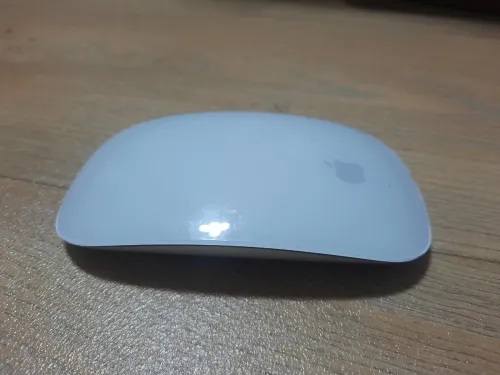 Magic mouse 2