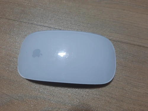 Magic mouse 2