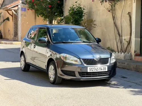 Skoda Fabia 2014 Visage