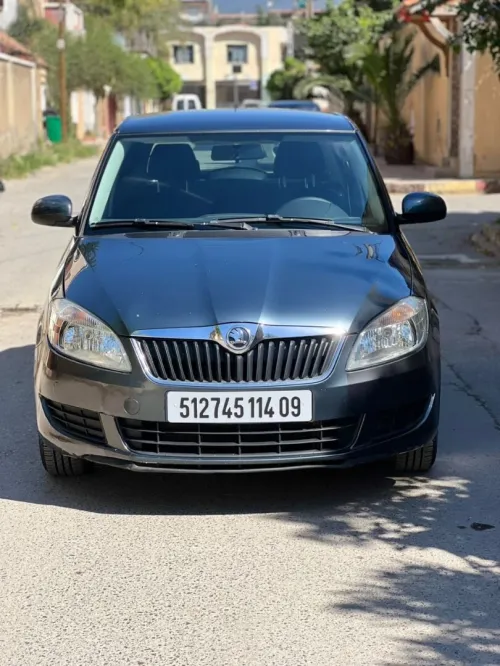 Skoda Fabia 2014 Visage