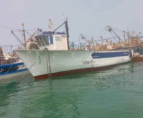 Bateau de pêche Espadonier en polyester 
