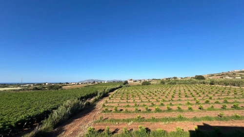Vente Villa Boumerdès Zemmouri