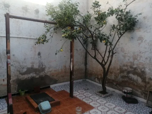 Vente Villa Mostaganem Hassi maameche