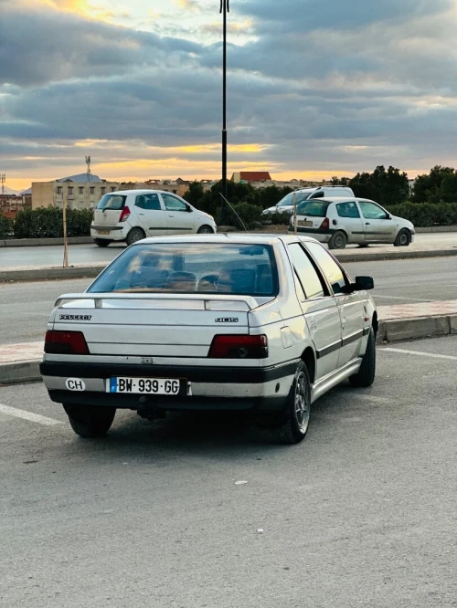 Peugeot 405 1993 405
